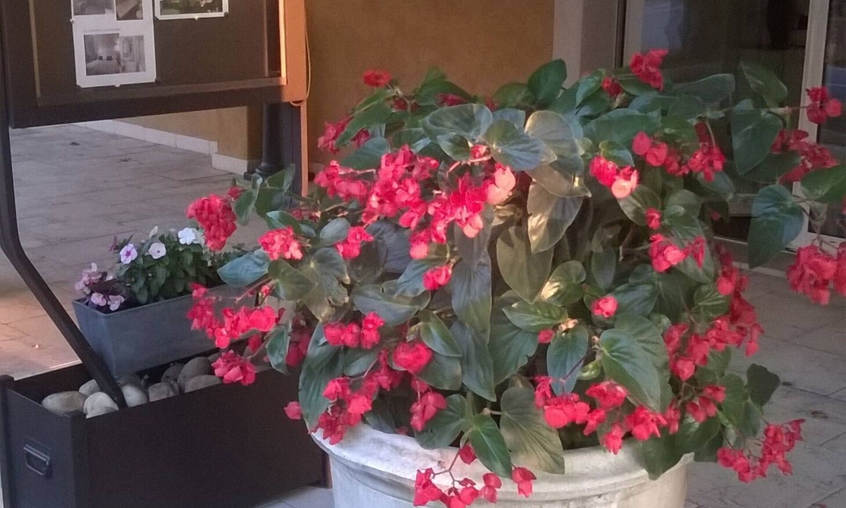 Bagnols-en-Foret Hotel | Au Relais Provencal