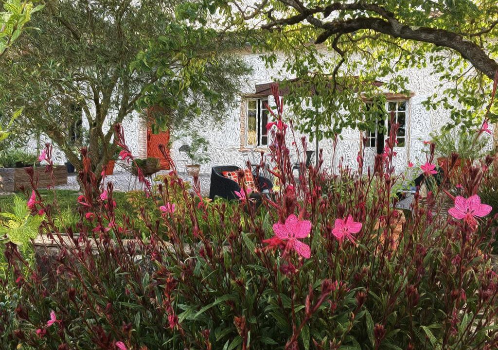 Lisle-sur-Tarn Bed & Breakfast | Au Sigala