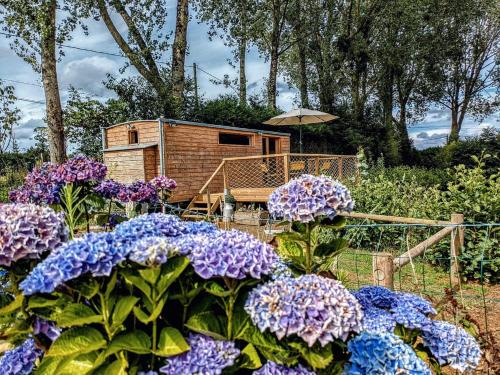 Litteau Other | Au silence des Peupliers