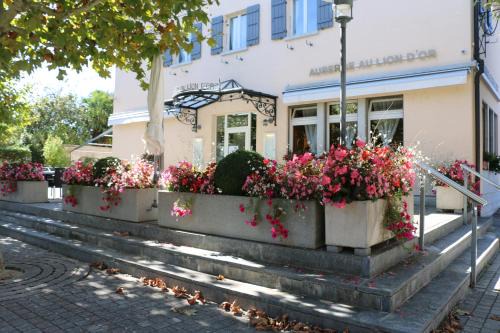 Tannay Hotel | Auberge Au Lion d'Or