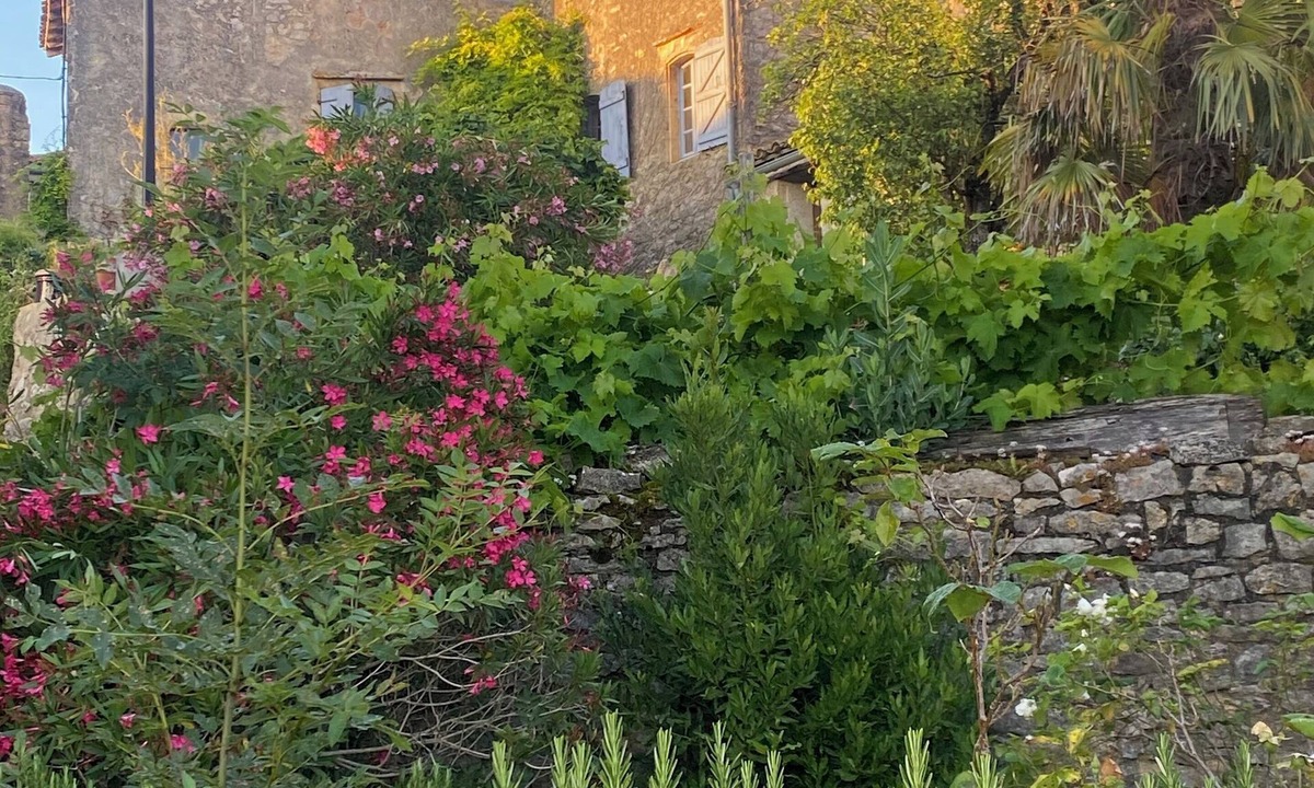 Puycelci Bed & Breakfast | Auberge des Hirondelles