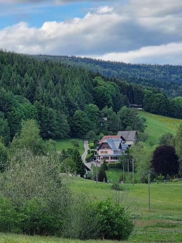 Le Hohwald Hotel | Auberge La Tête En L'Air