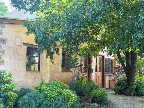 Upper Wakefield Apartment | Auburn Garden Suites