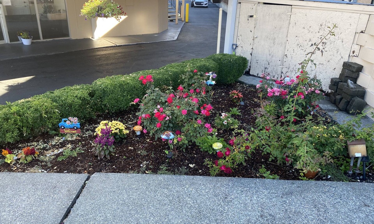 Auburn Hotel | Auburn Motel