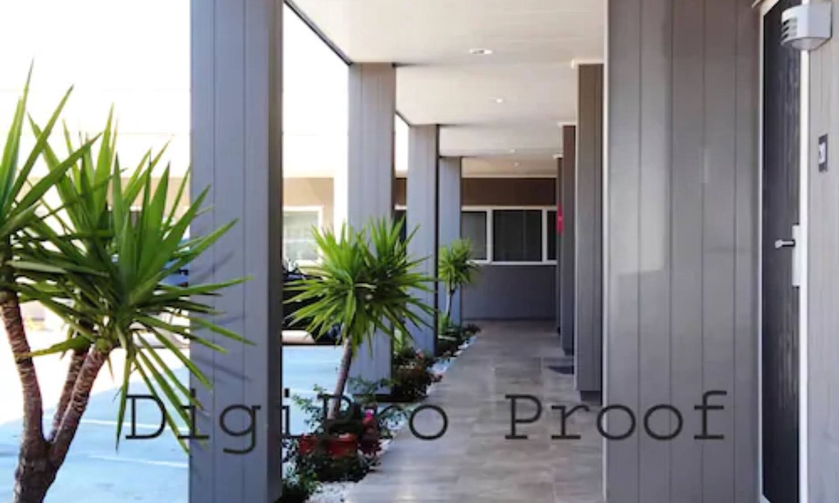 Remuera Hotel | Auckland Phoenix Palm