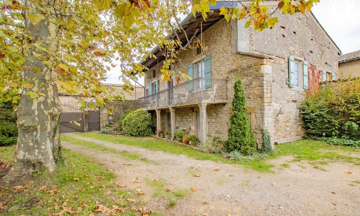 Plottes House | Auprès de mon arbre - PLOTTES