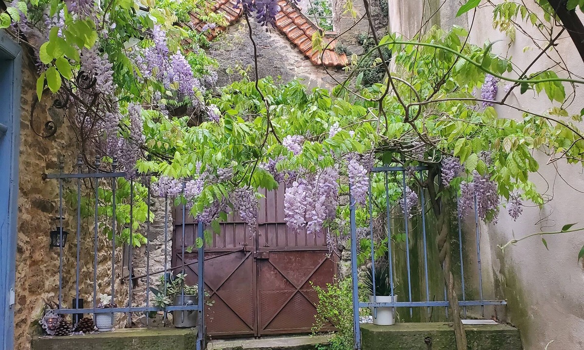 Conques-sur-Orbiel Bed & Breakfast | Authentic, family-run B&B 10 minutes from Carcassonne.