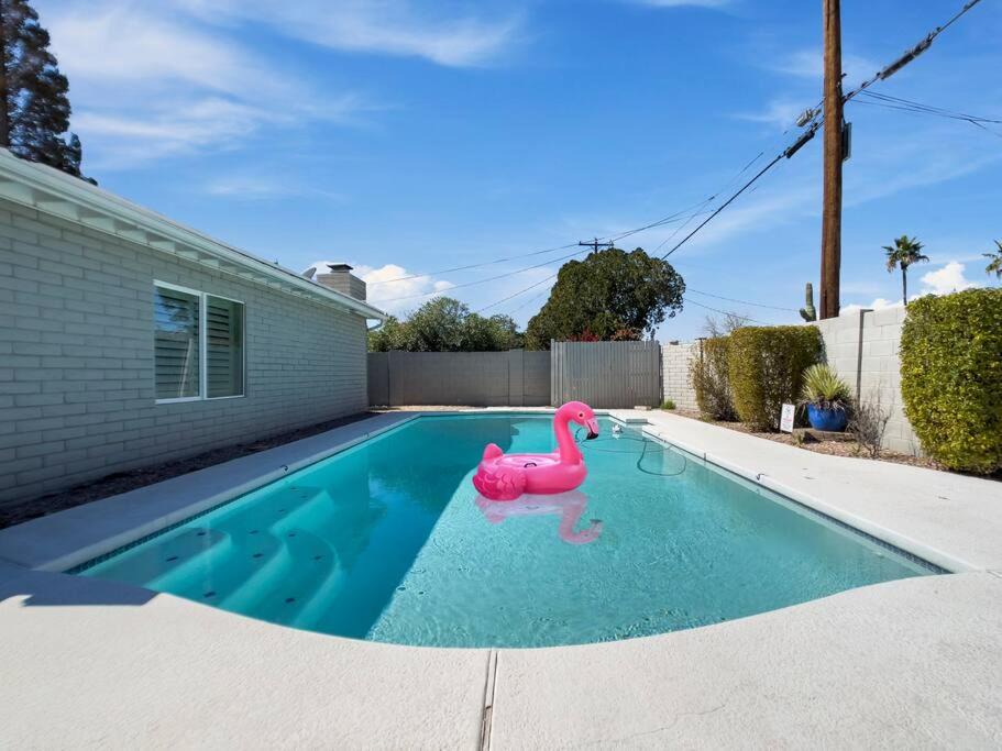 Cox Heights House | Authentic Old Town Scottsdale Gem W/ Pool-BBQ-Yard
