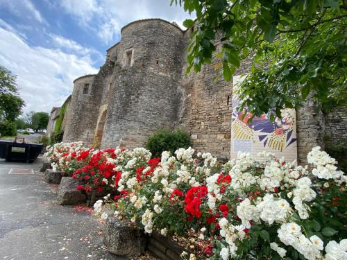 Cordes-sur-Ciel House | Aux anciens remparts