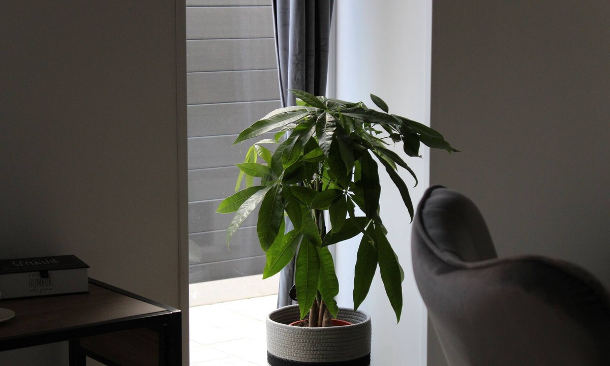 Neuve-Chapelle Bed & Breakfast | Aux P'tits Bonheurs la Grange