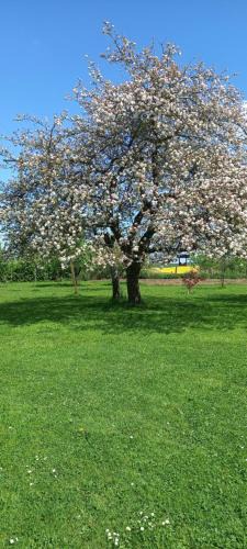 La Sabotterie Bed & Breakfast | Aux trois petites notes