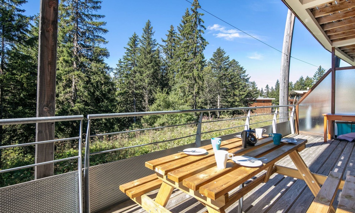 Chamrousse Apartment | Aventures à Chamrousse - Appt 34 m² avec terrasse