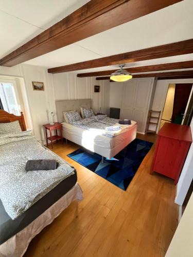 Boudry House | Avenue 15 Boudry Suites and Studio