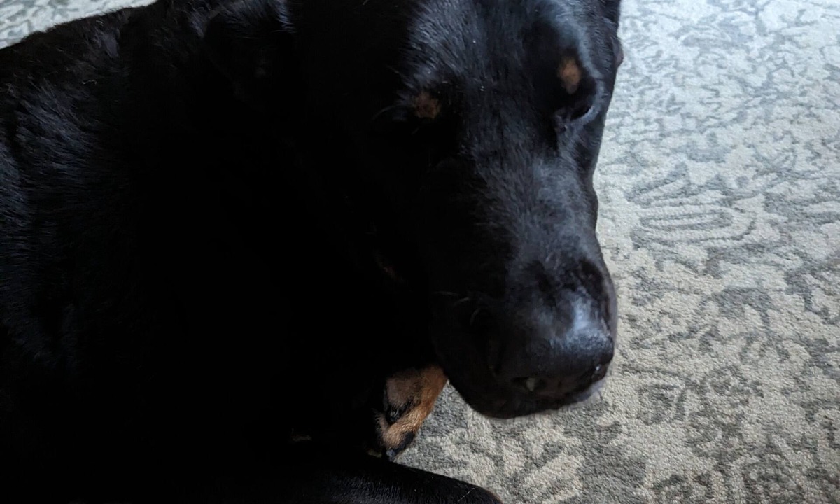 Sparks Glencoe House | awesome awesome