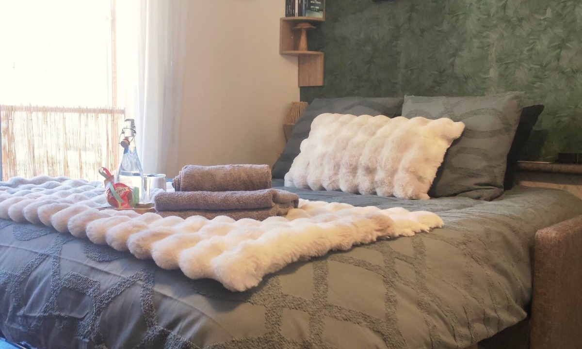 Savignac-les-Ormeaux Apartment | Ax-les-Thermes, cosy studio 4 pers and balcony : ski, hiking, thermal baths | All on foot