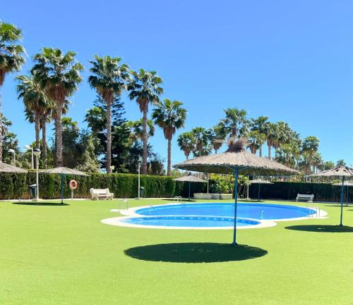 Marina d'Or Apartment | AYF VISTAMAR 1ªLINEA DE PLAYA