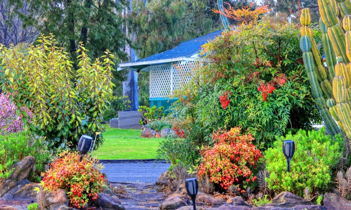 Coonabarabran Hotel | Azalea Motel