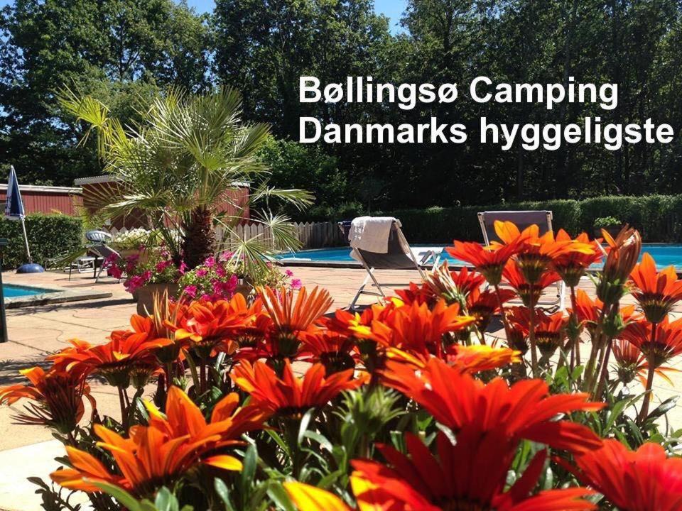 Engesvang Other | Bøllingsø Camping