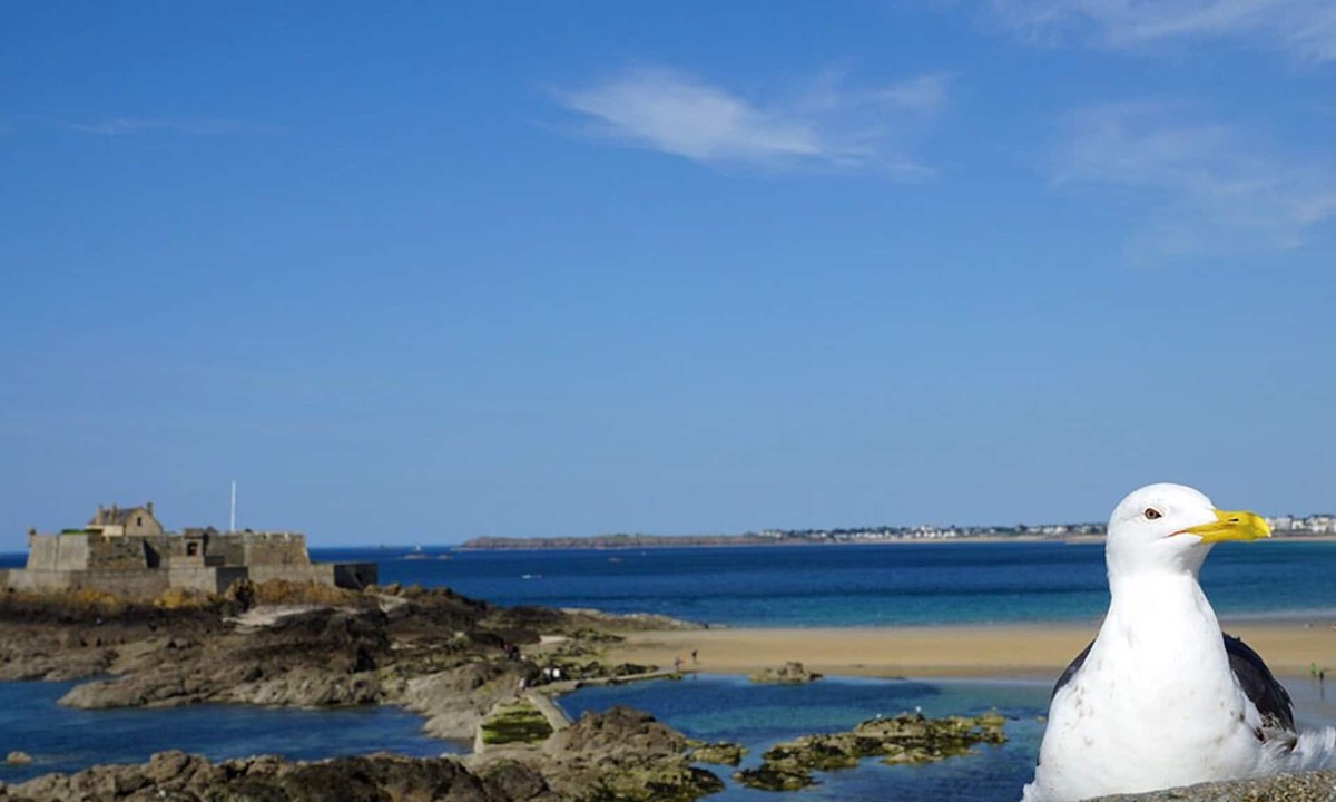 Saint-Jouan-des-Guerets Hotel | B&B HOTEL Saint-Malo Sud
