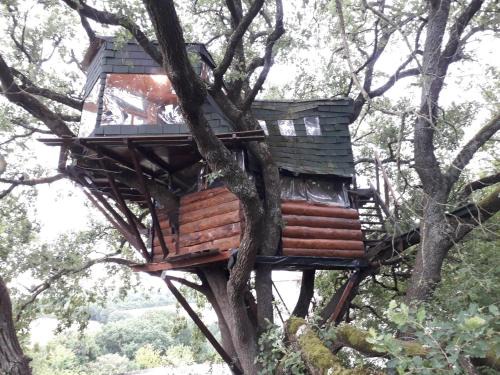 Mones Bed & Breakfast | B&B La Cabane Insolite