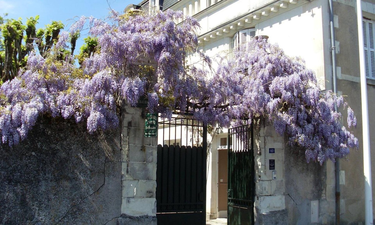Tours House | B&B La Héraudière
