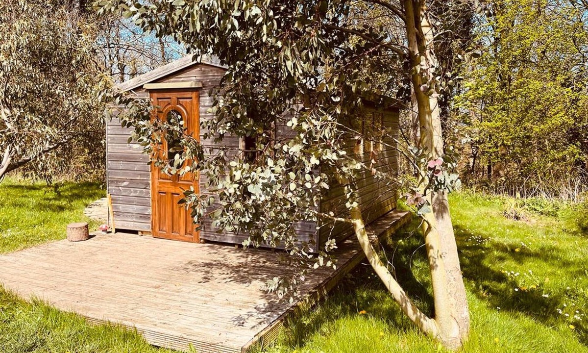 Guisborough Cabin | Baby Moon