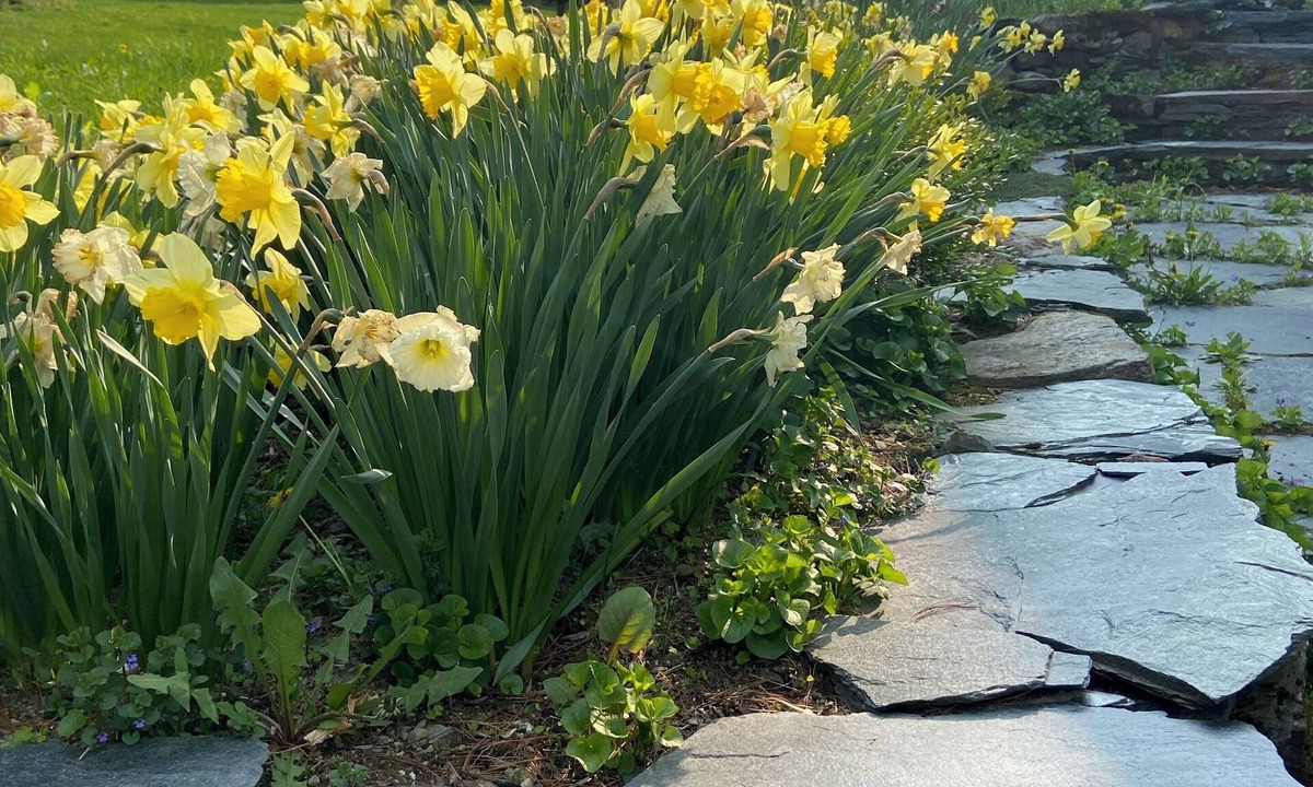 St. Albans Historic District Bed & Breakfast | Back Inn Time Bed & Breakfast