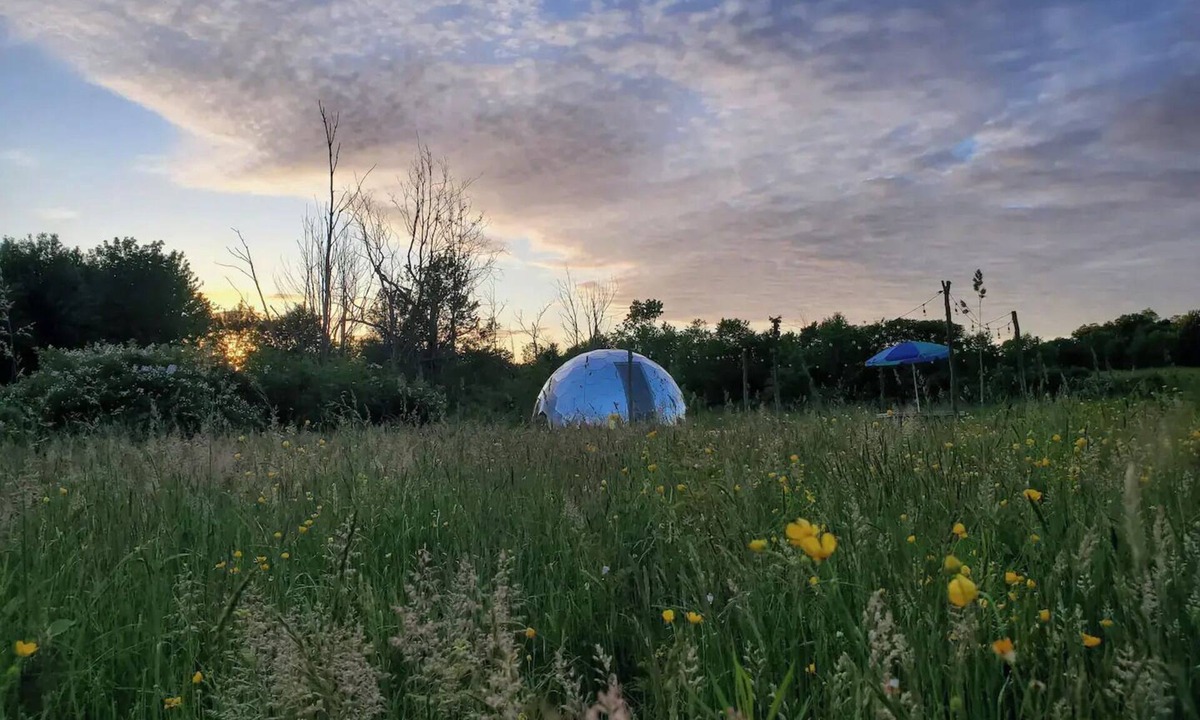 South Butler RV Rental | Backwoods Domenn