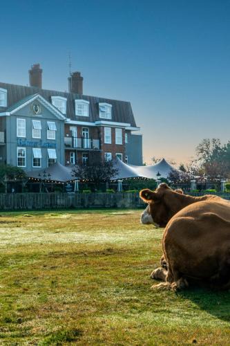 New Forest District Hotel | Balmer Lawn