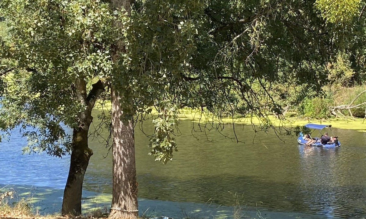 Saint-Fiacre-sur-Maine Bed & Breakfast | Bana tree private room: Tree-lined house facing the river