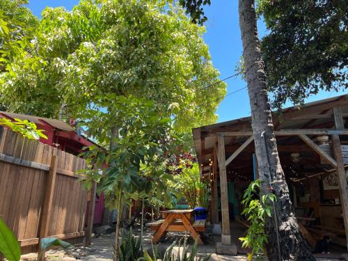 Wailuku Hostel | Banana Bungalow Maui Hostel