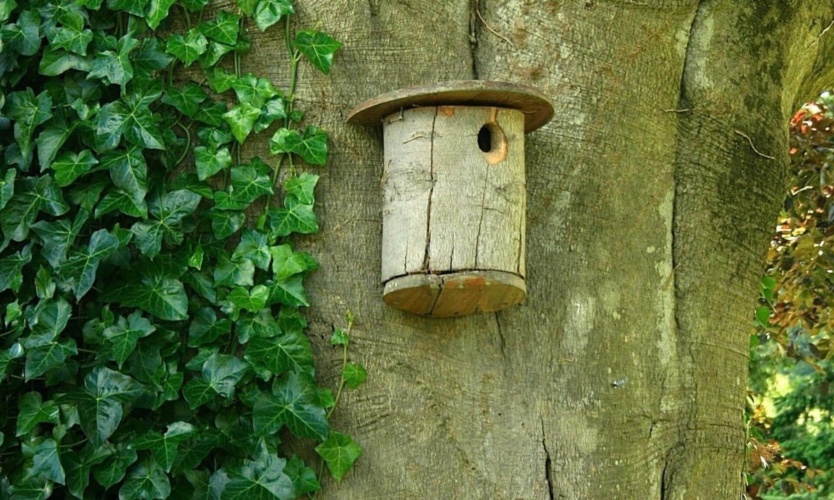 Bangsar House | Bangsar cozy friendly