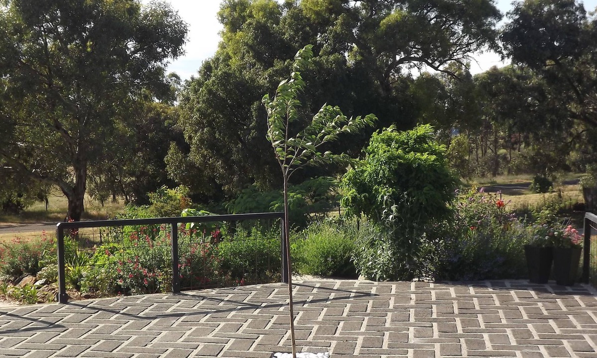 Rutherglen Apartment | Barkly Suites Apartments