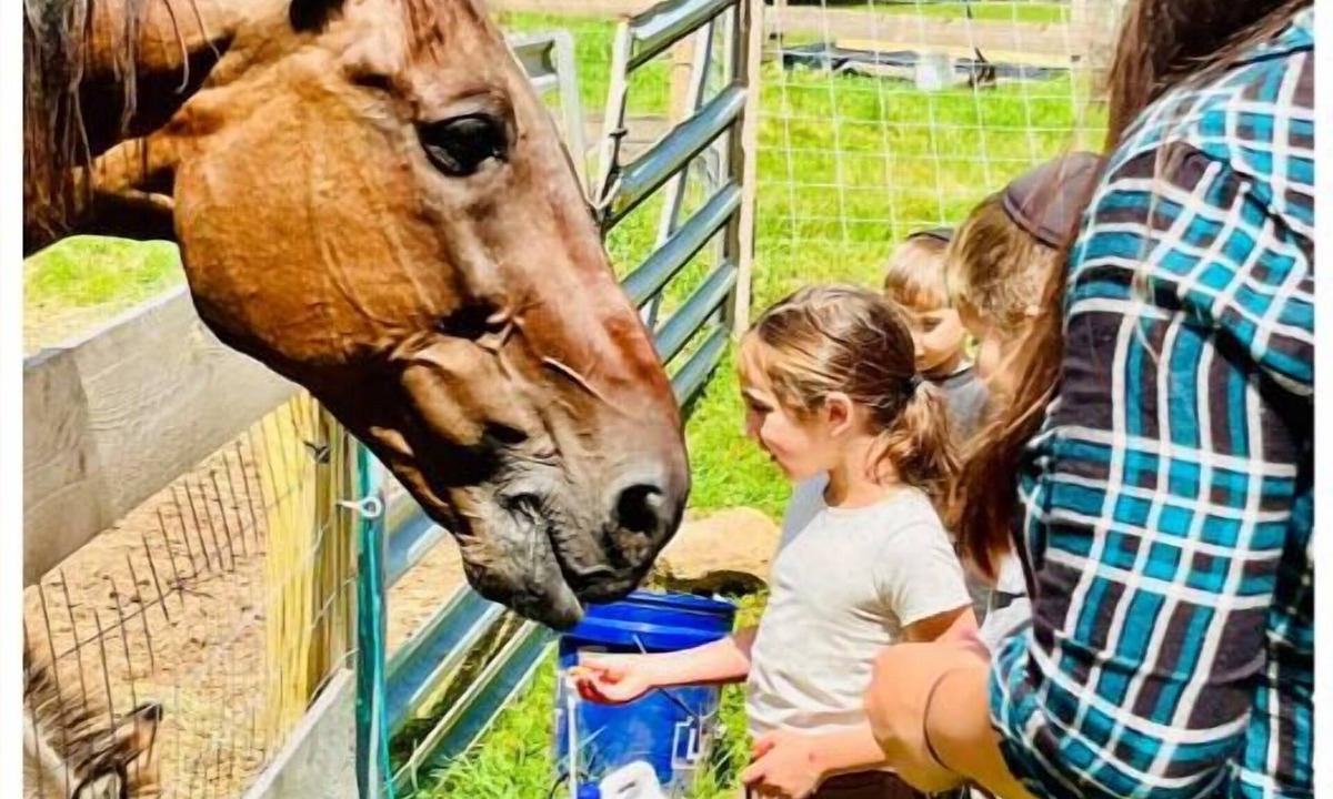 Mountain Dale House | Barn Suite: A Cozy Farm Escape