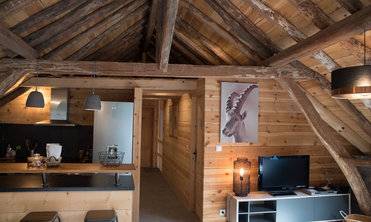 Montauban-de-Luchon Ski Chalet | Barn "The Castanier"