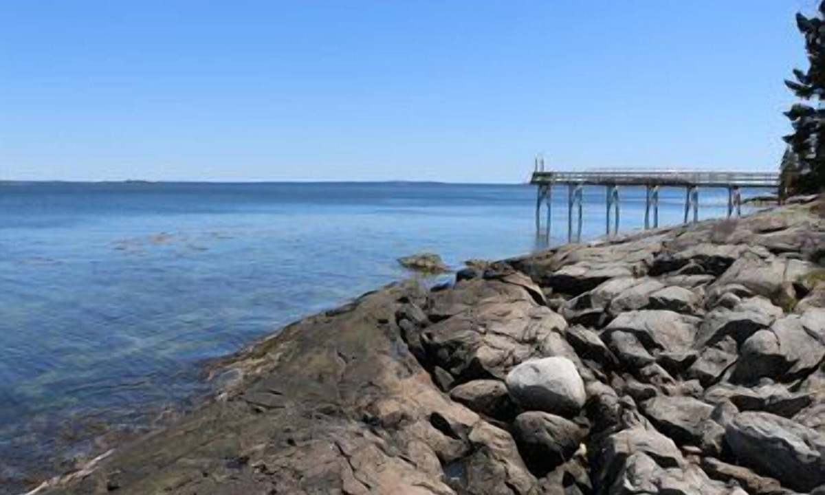 Brooklin Cottage | Barnacle on Flye Point Oceanfront