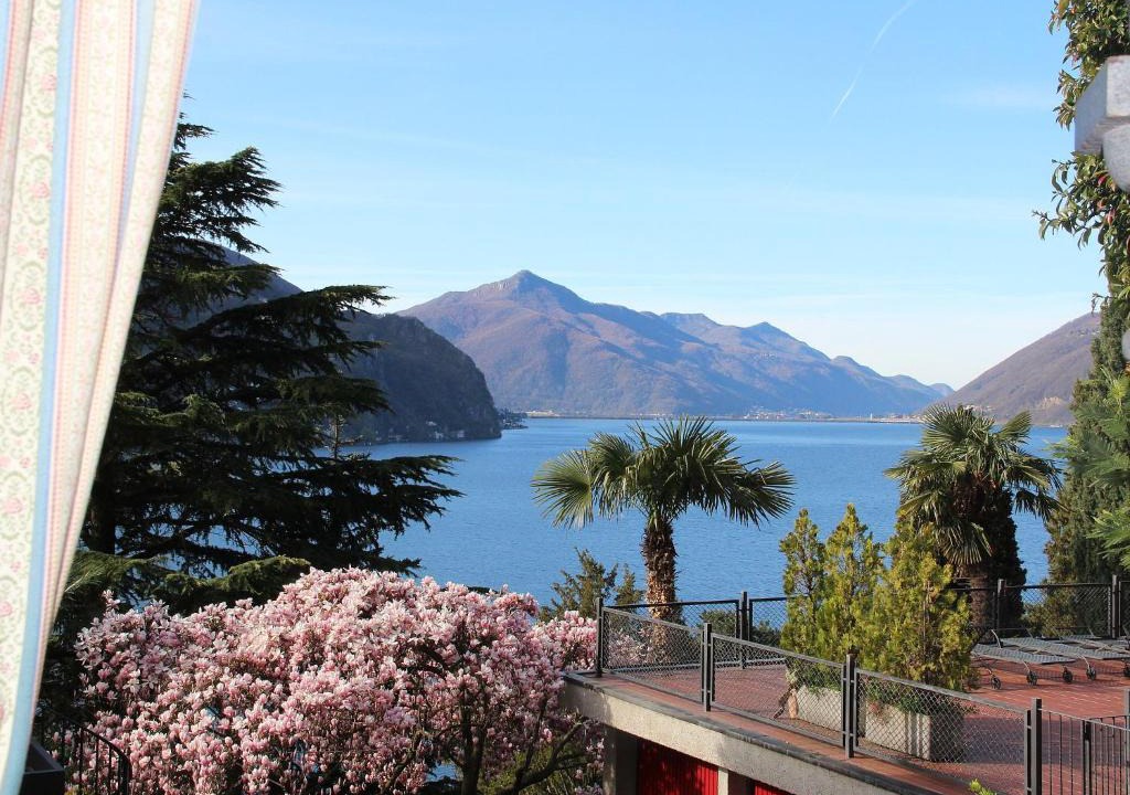 Castagnola Apartment | Barony Olive mit Hund