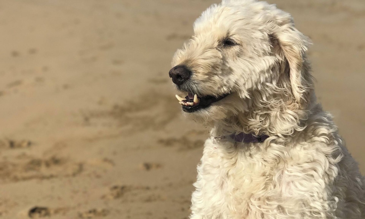 Barwon Heads Cottage | Barwon Cottage