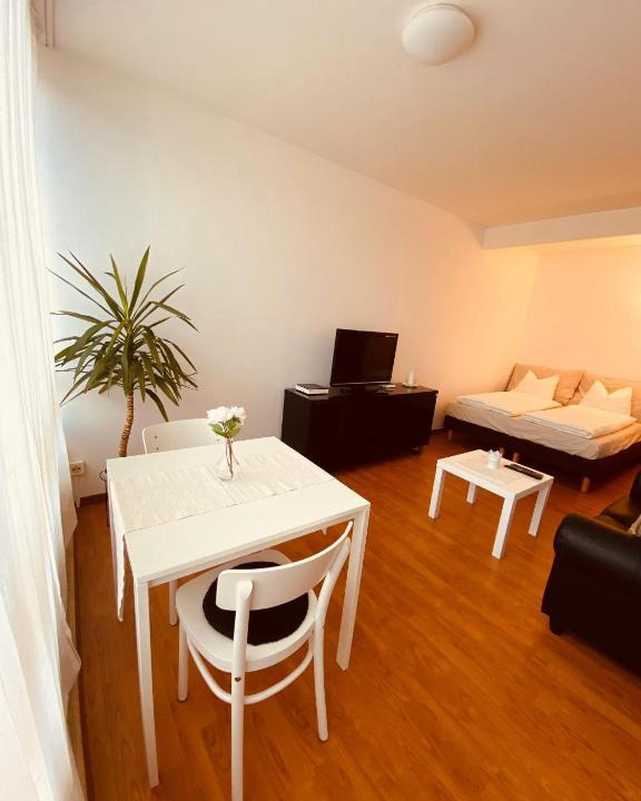 Vorstadte Apartment | Basel City Central