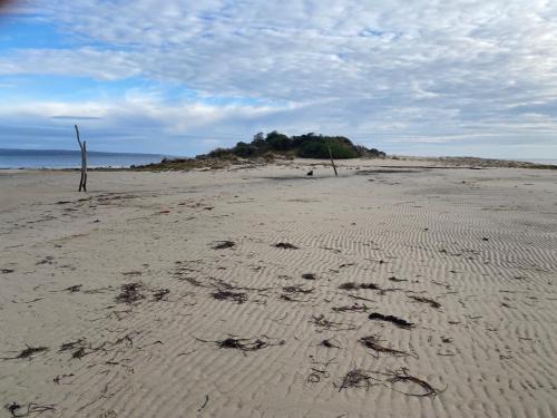 Baudin Beach Apartment | Baudin Beach Holiday Units - Unit 1