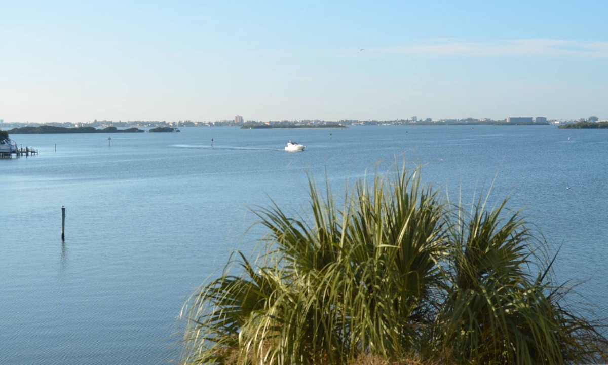 St. Petersburg Condo | Bay Front Property with Amazing View