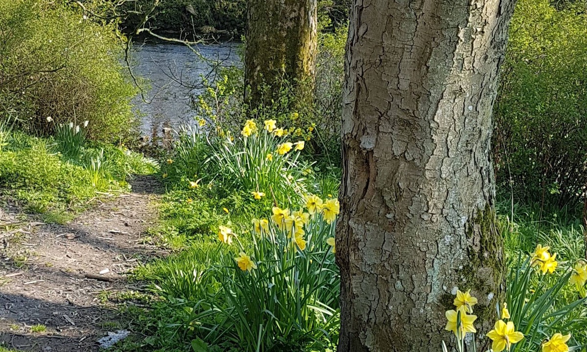 West Woodburn Hotel | Bay Horse Inn - B&B