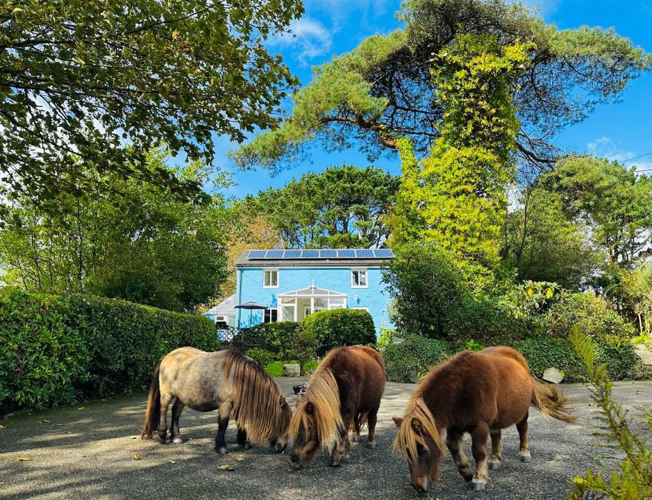 Boscundle Apartment | Bay View Cottage