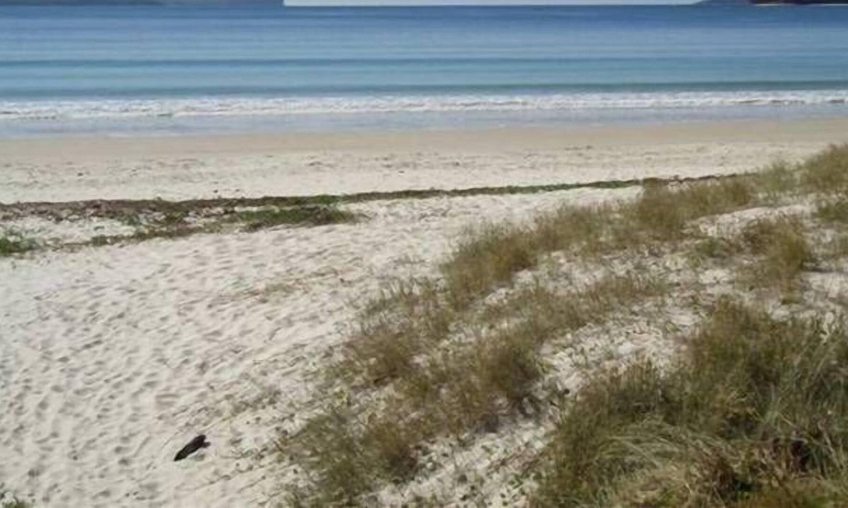 Vincentia Cabin | Bayswater Beach House - Unit 2