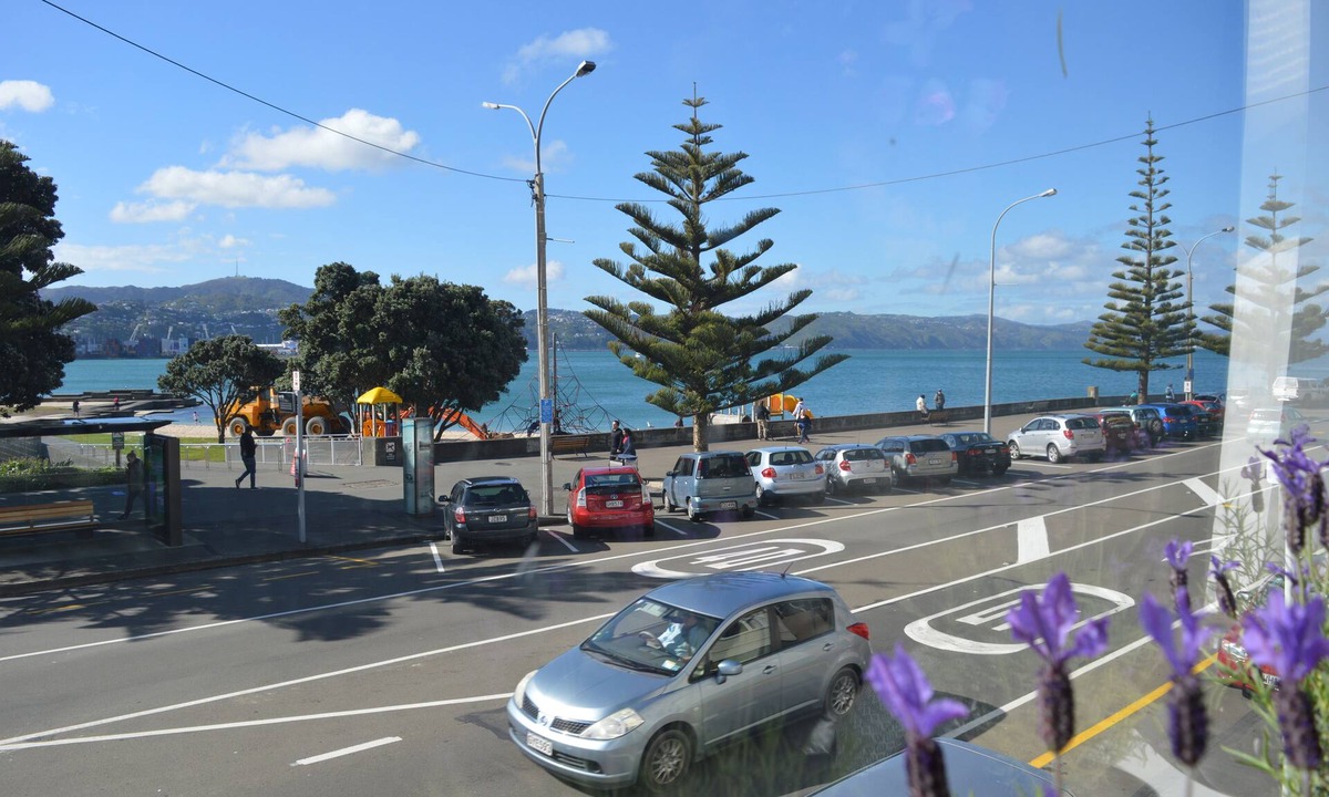 Oriental Bay Apartment | Bayview house in Oriental Parade