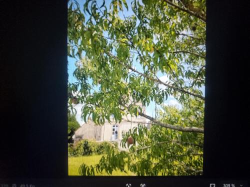 Coulonces Bed & Breakfast | BB des arcs
