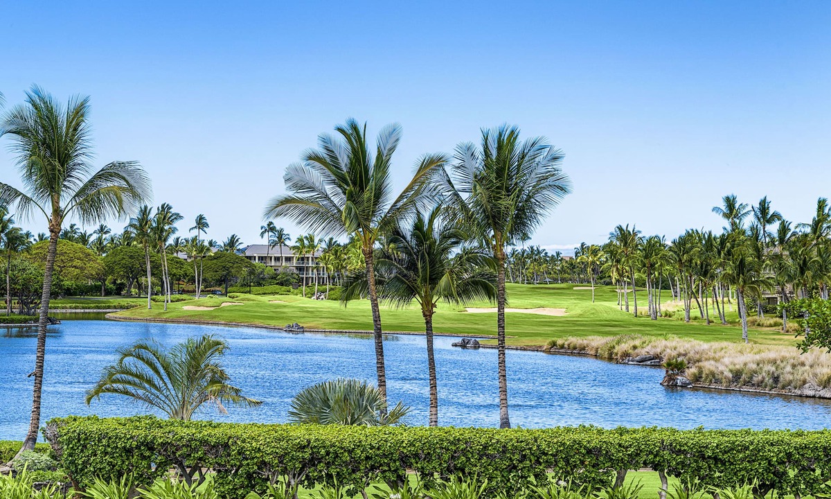 Waikoloa House | BBQ, New Air Conditioning and upgrades!