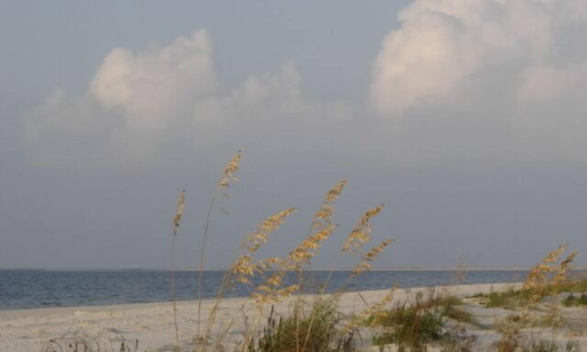Dauphin Island Condo | Beach Front, Beach/Gulf View, 2 Pools, Stylish, Comfortable & Relaxing