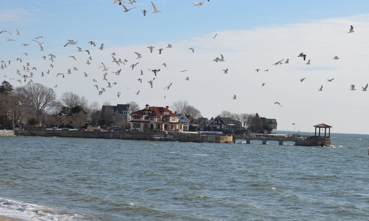 Milford House | Beach Front Luxury Property