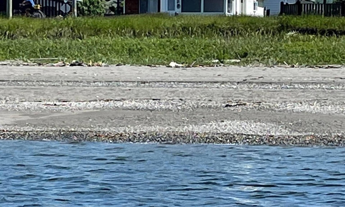 Cap-Chat House | Beach front quality house, open year round, Cap- Chat, Gaspesie, fishing, kayak,